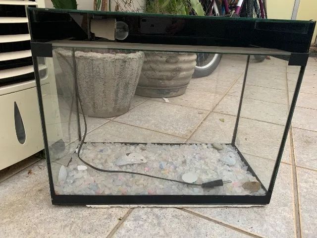 Aquário  - Foto 5