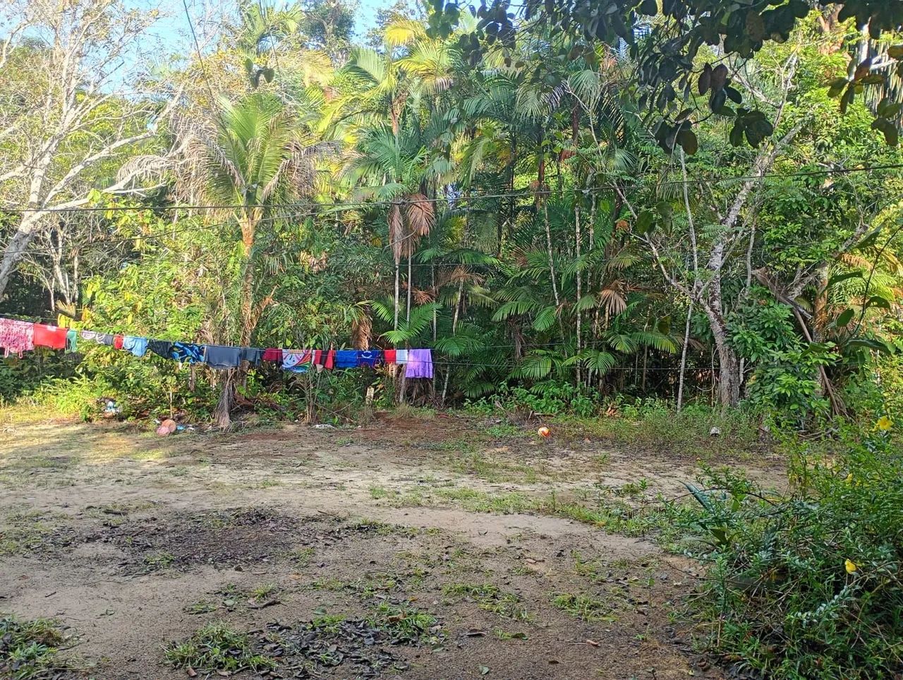 Vendo terreno/ chácara  - Foto 4