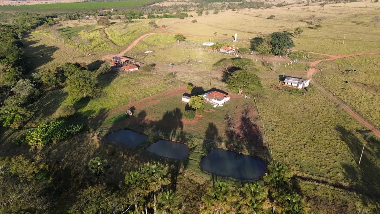 Fazenda na região do prata  - Foto 3