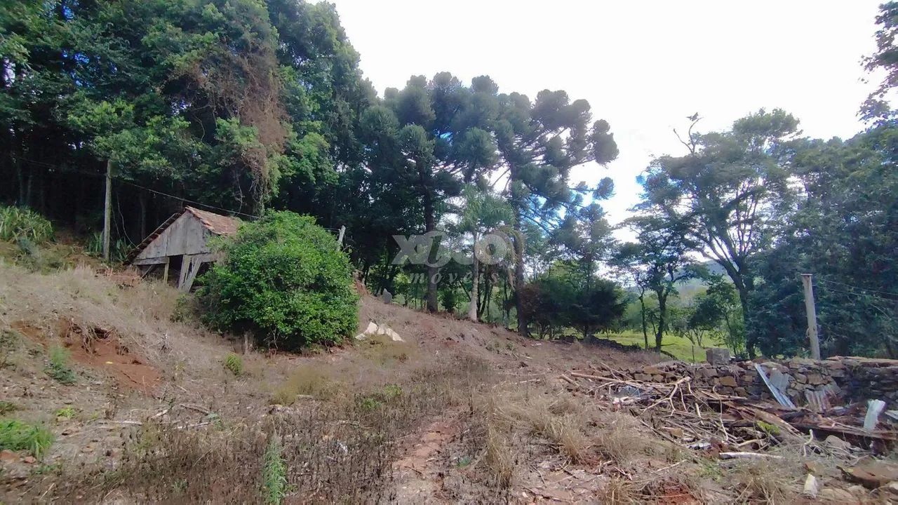 SÍTIO EM NOVA PETRÓPOLIS