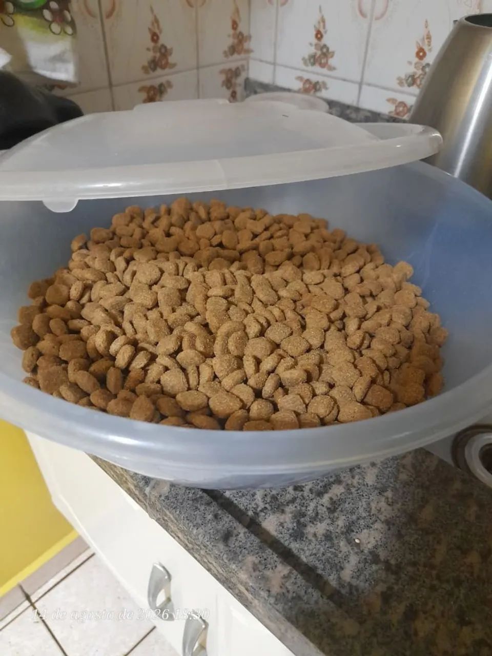 Casa de cachorro  - Foto 3