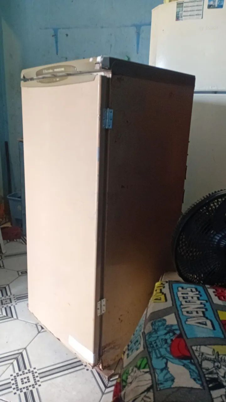 Frizzer  Electrolux  - Foto 3