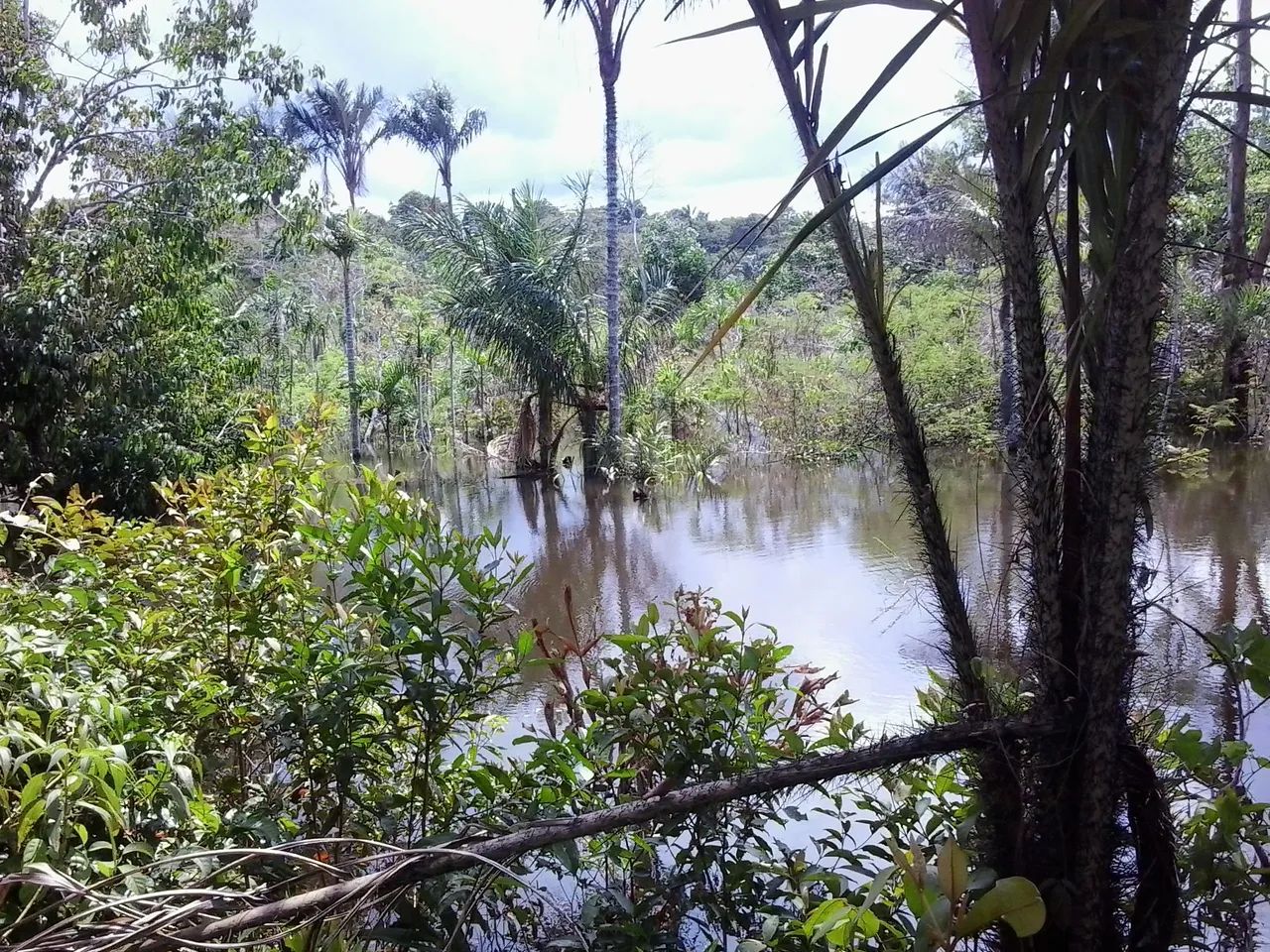 Ótimo terreno em Iranduba - Foto 2
