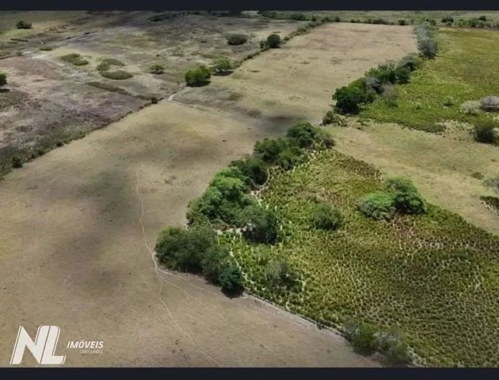 Fazenda à venda próximo a Monte Alegre com 23 hectares - Foto 4