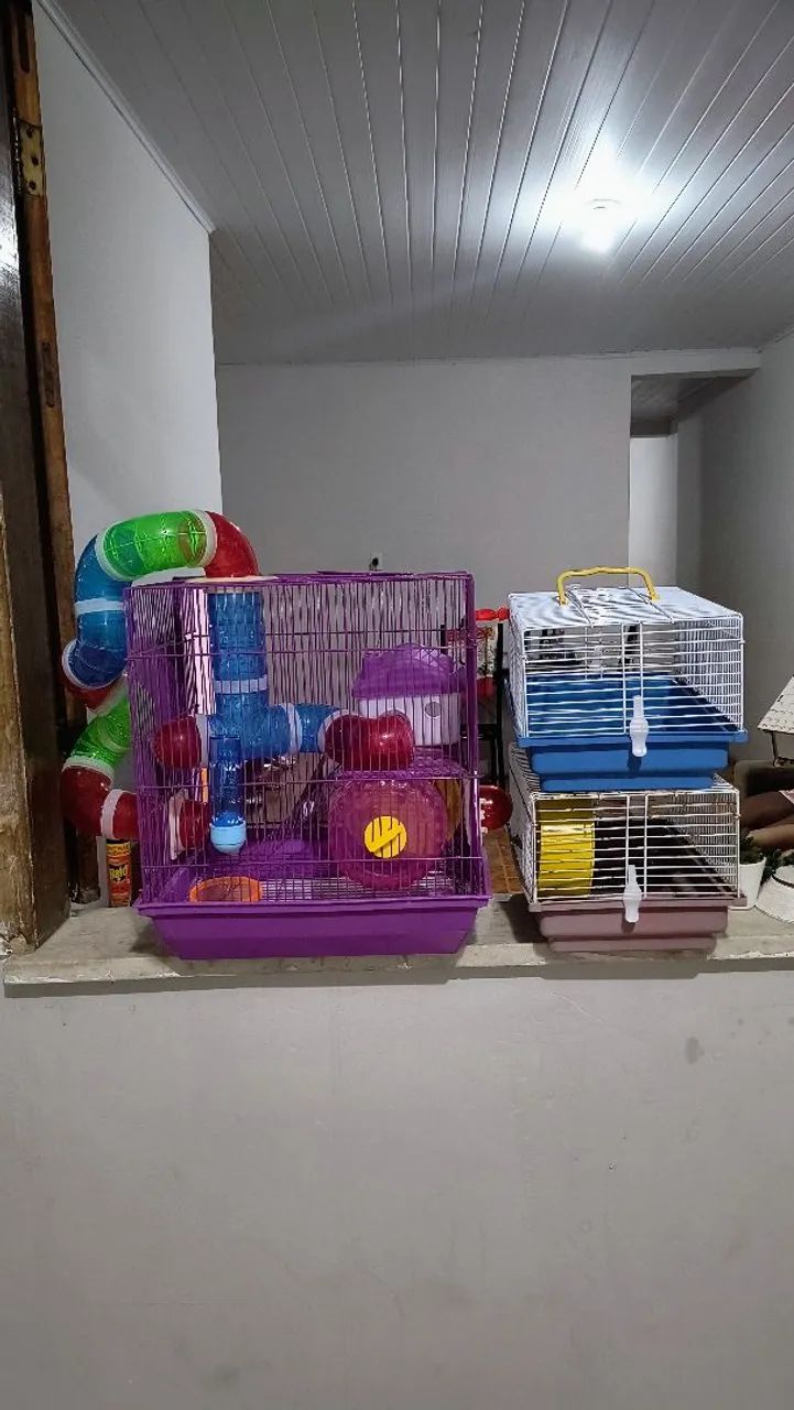 3 Gaiolas para hamster - Foto 4
