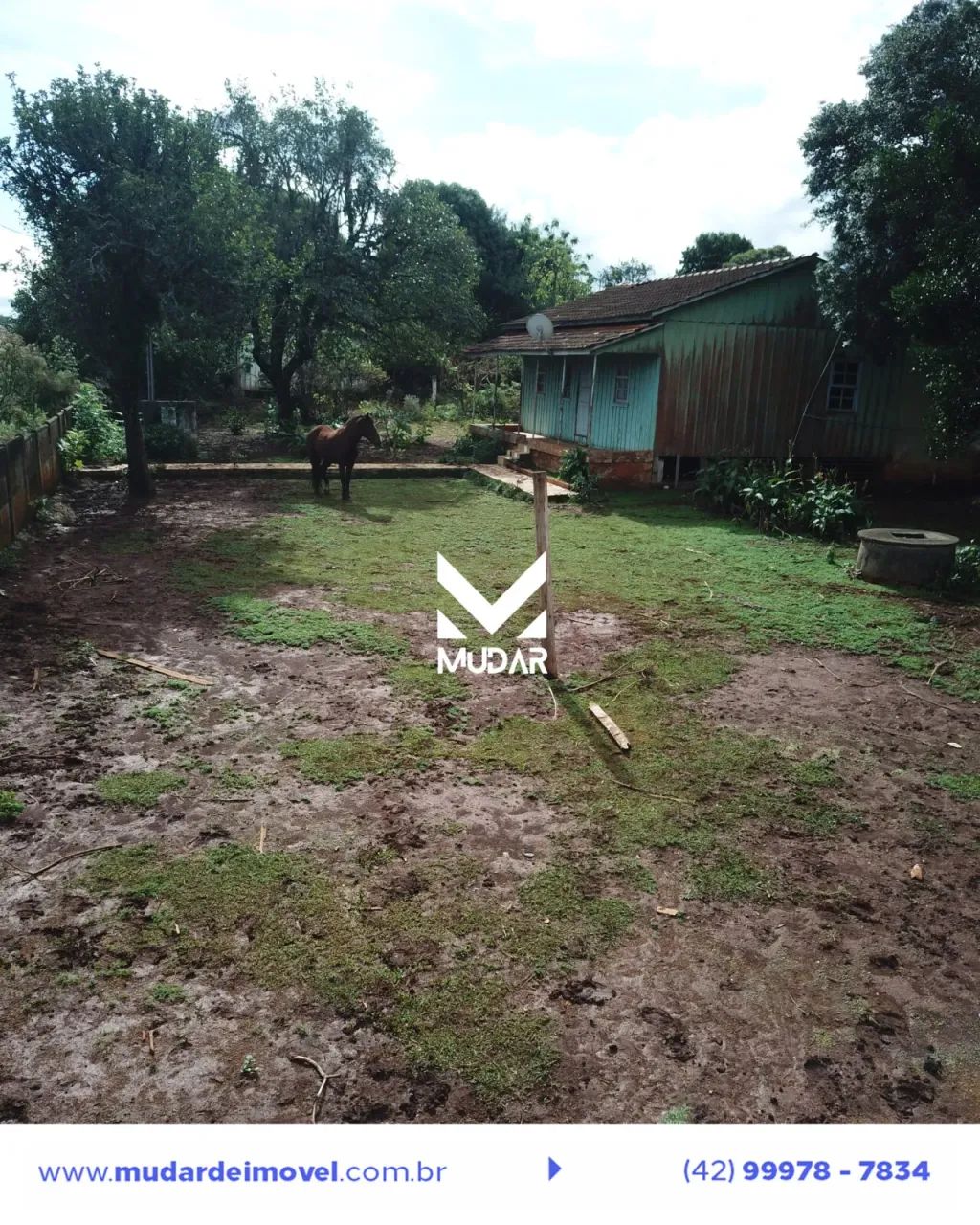 Terreno em Uvaranas - Foto 5