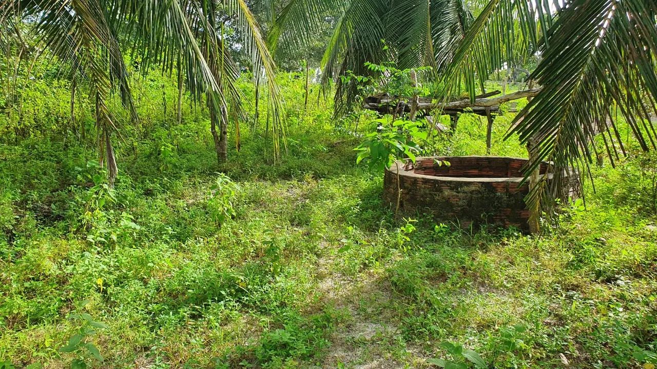 Terreno 12 hectares com açude  - Foto 5