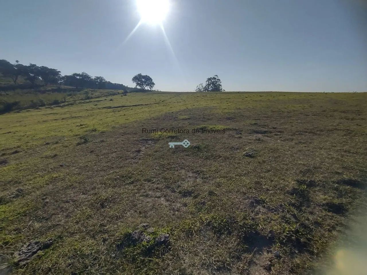 Vende-se sítio 5 alqueires em Carlopolis PR - Foto 5