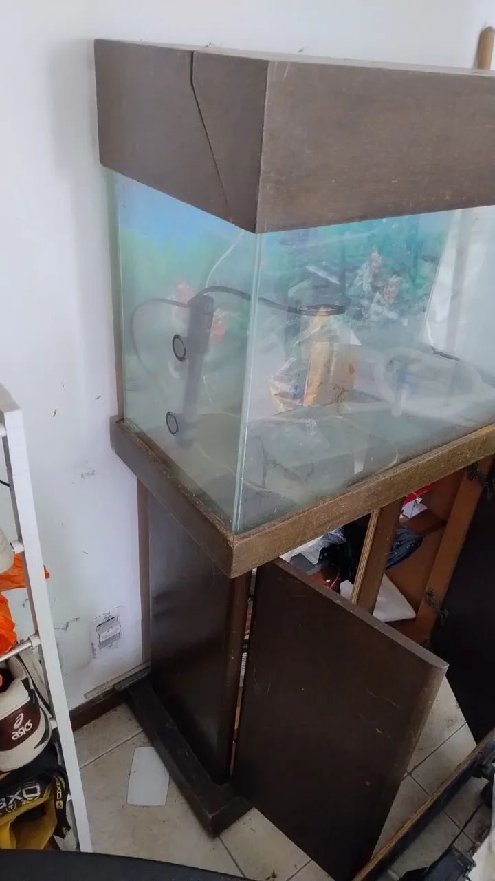 Vendo aquário grande65048974198657124