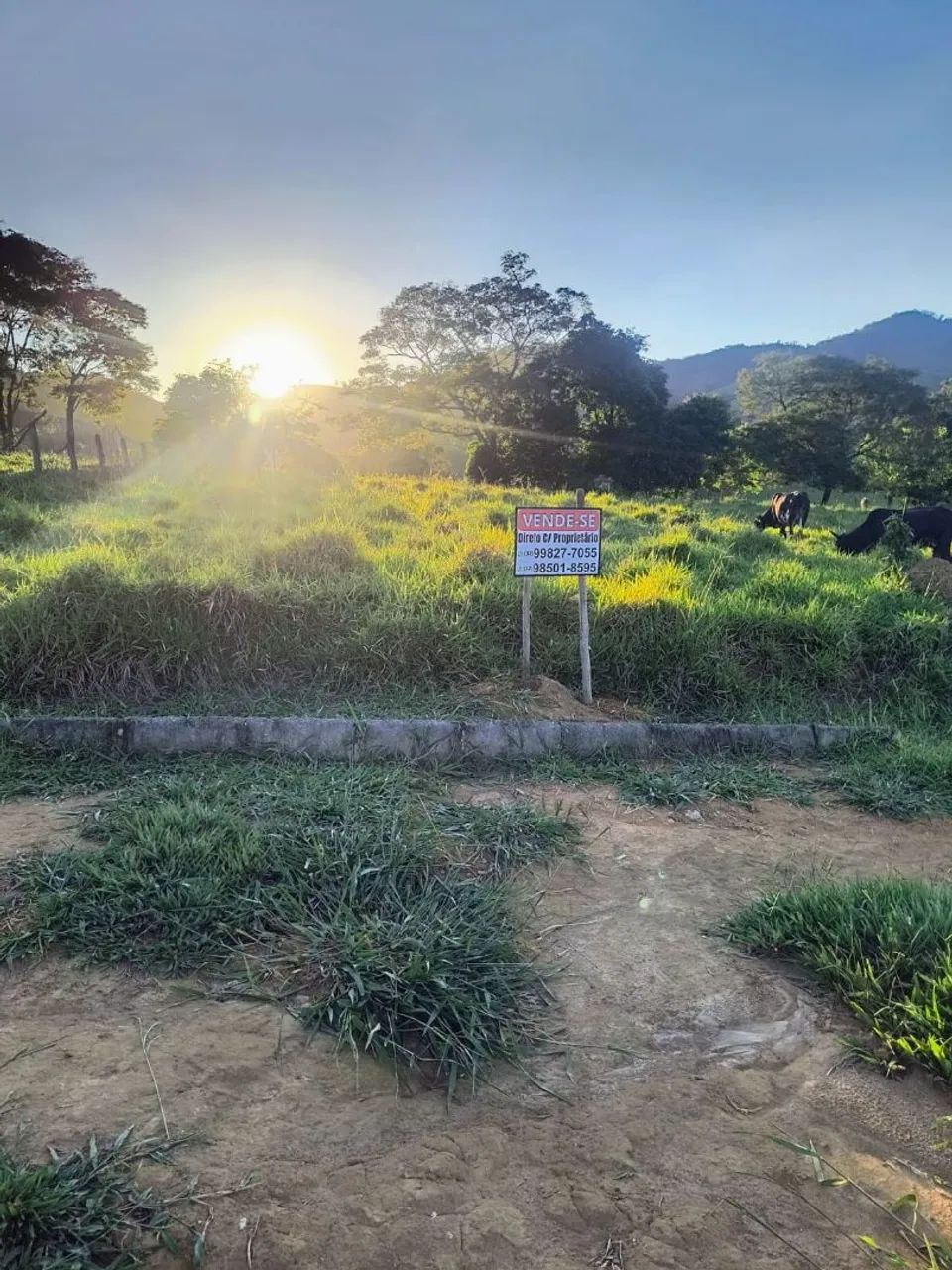 Terreno ( Em Ubá) - Foto 2