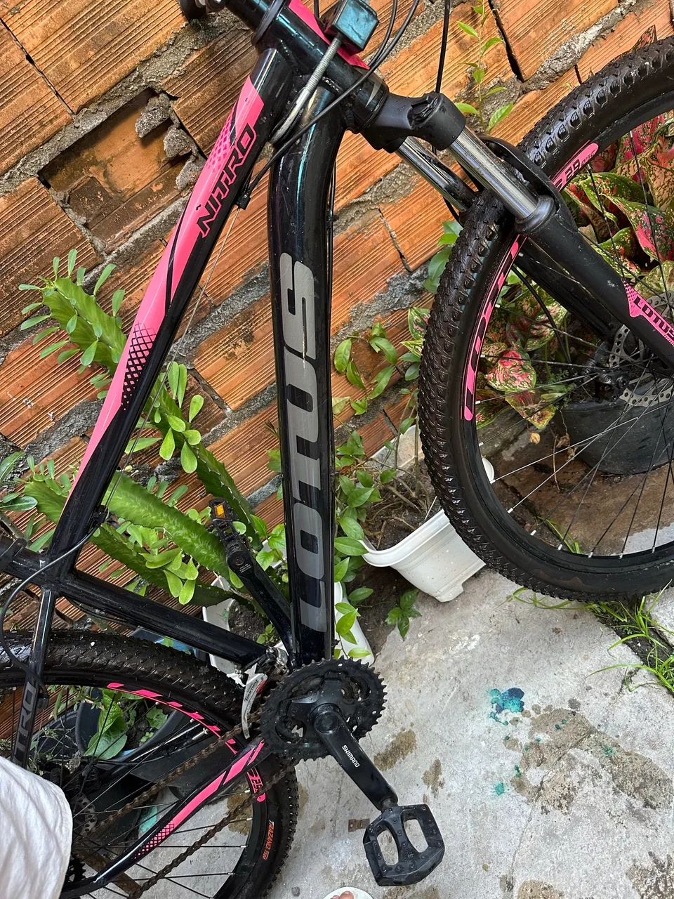 Bicicleta lótus 