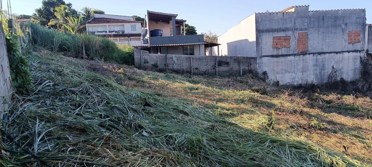 Limpeza de Terrenos e paisagismo  - Foto 4