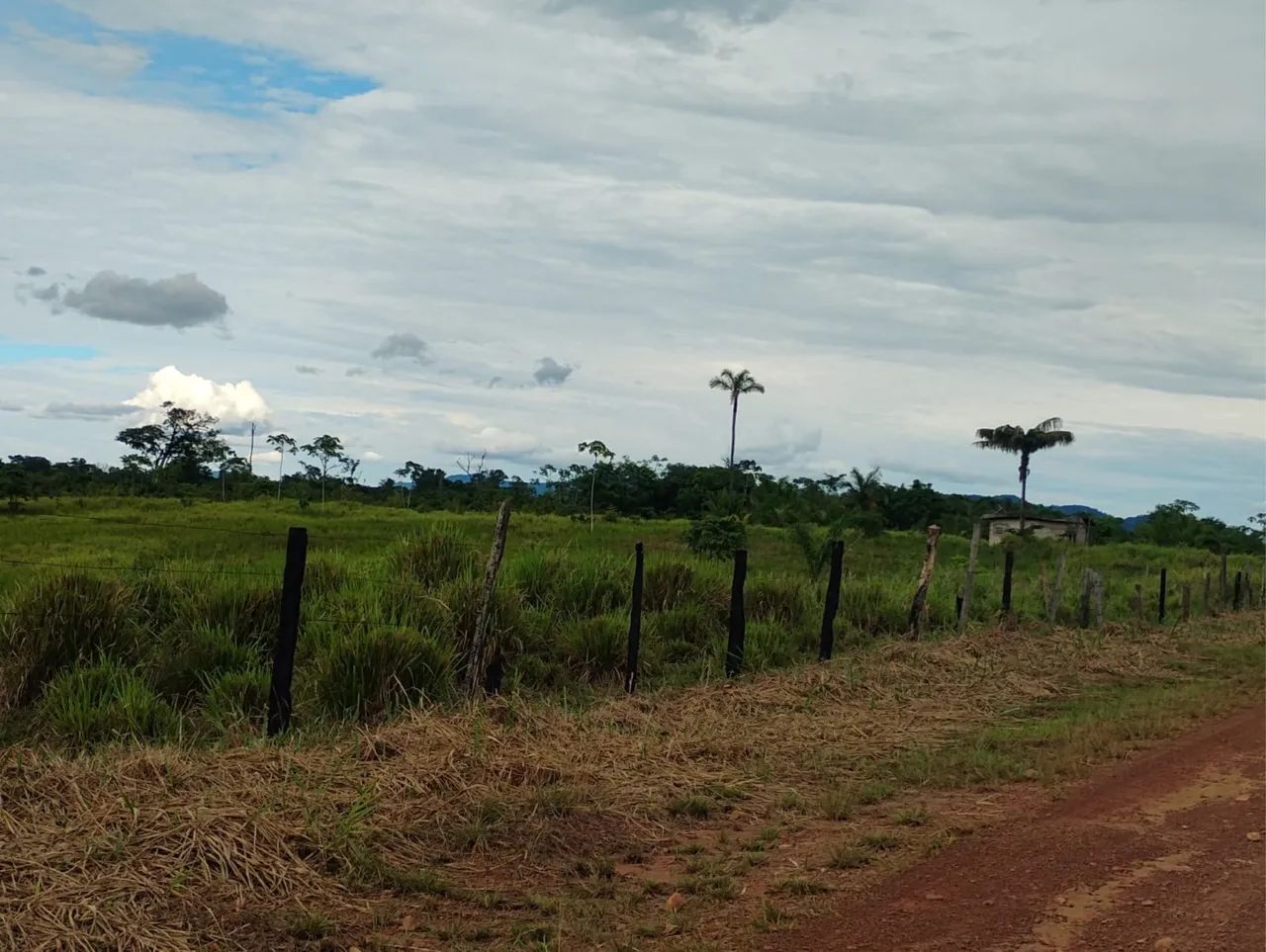 02 lotes um ao lado do outro, muita água é muito pasto. - Foto 3