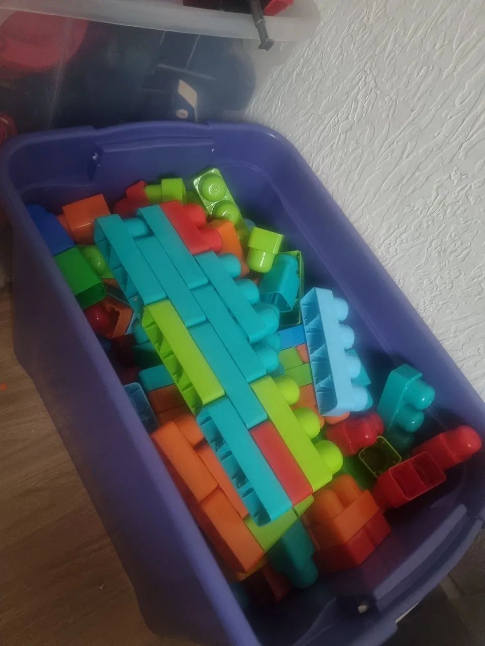 Brocas infantil crianças 