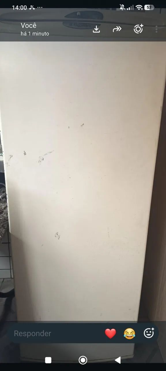 Freezer vertical Eletrolux - Mod F210 - Foto 2