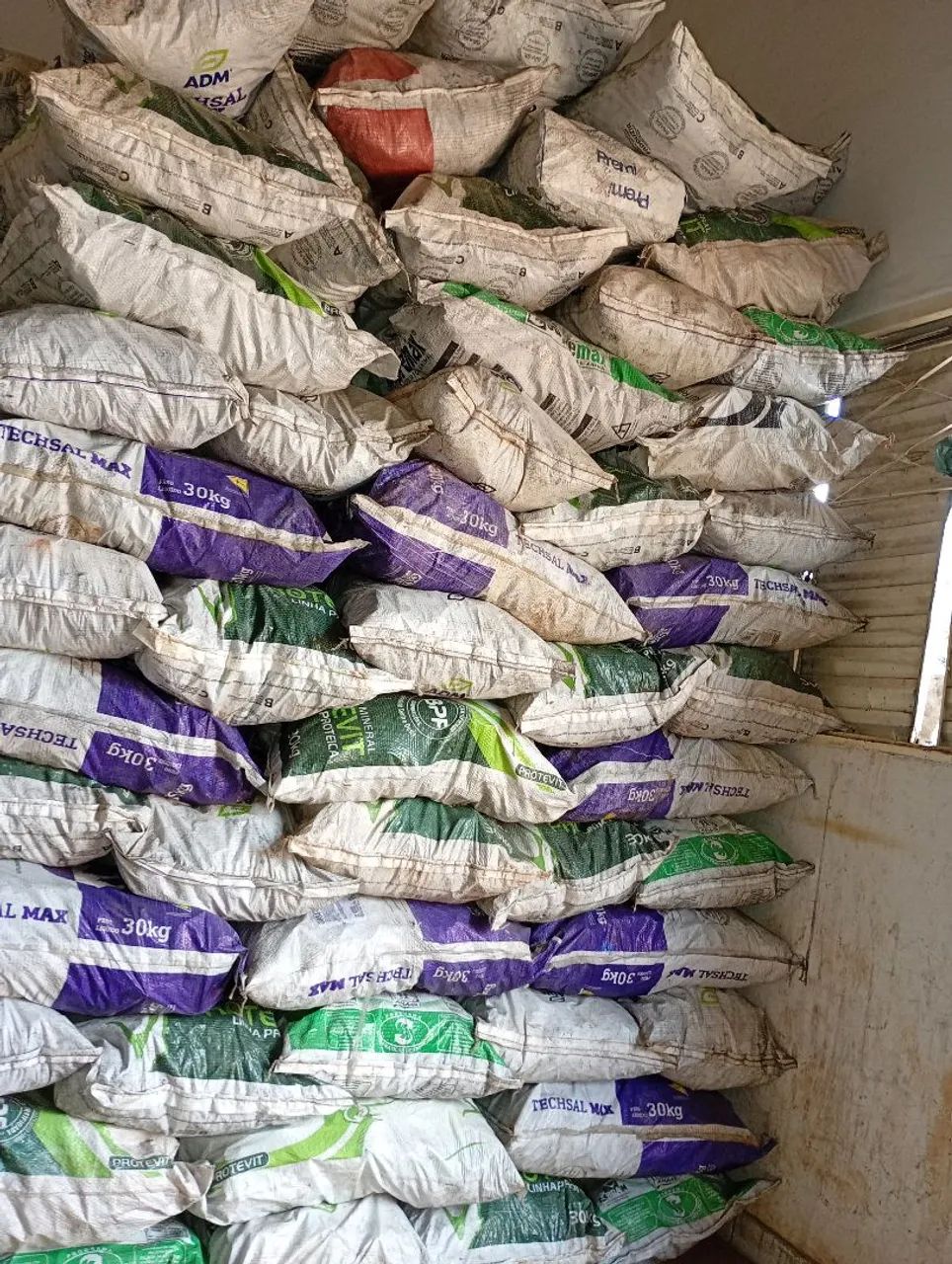 Carvao na promoção 