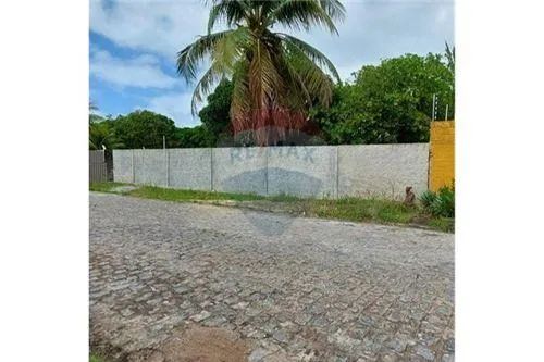 Excelente terreno (chacará) próximo a Massagueirinha - Foto 3