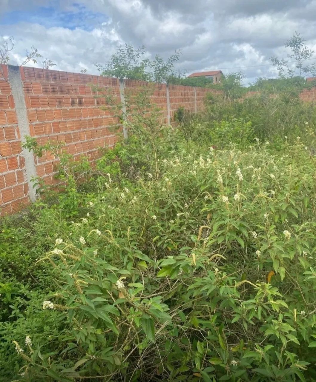 Terreno em Gravatá  - Foto 2