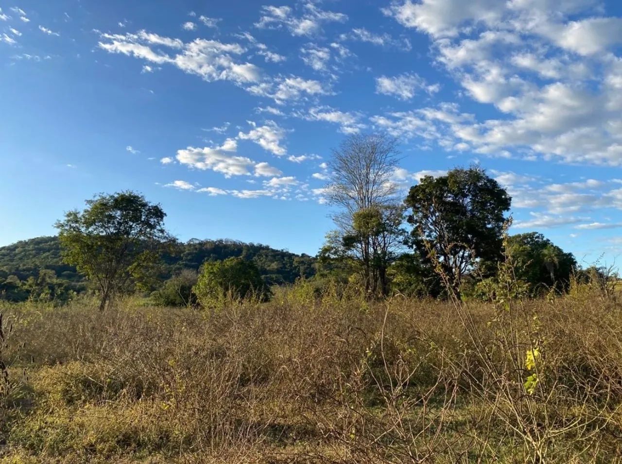 Chácara com Rio em trindade  - Foto 5