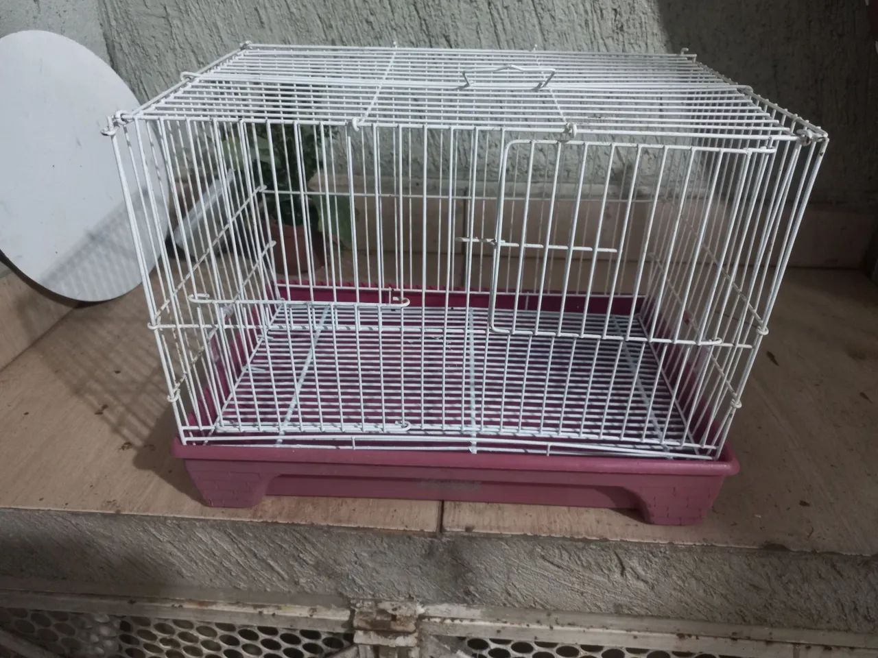 Gaiola 
