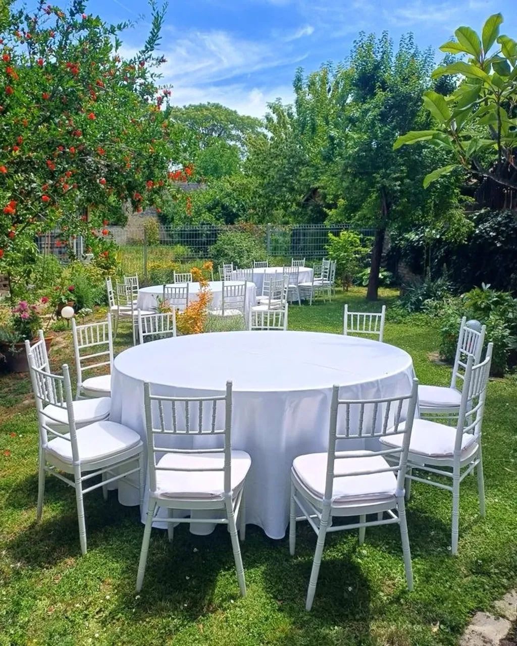 Aluguel de tampões de mesa e toalhas  - Foto 4