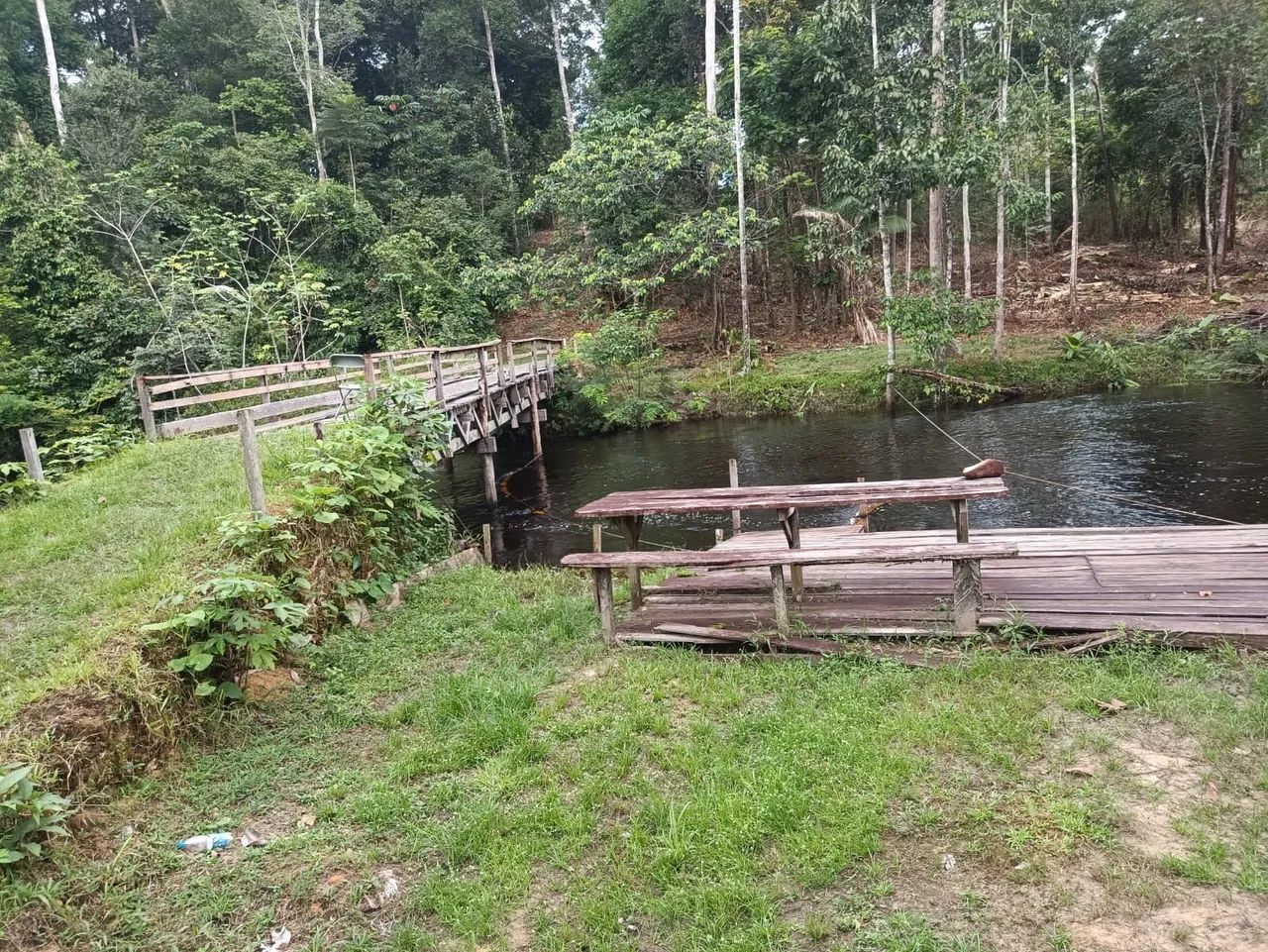 Sítio com 28 hectares em Pres. Figueiredo  - Foto 3