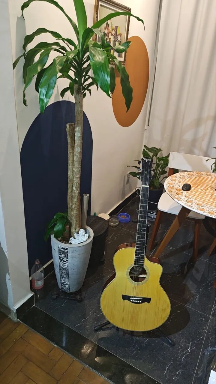 Violão Tagima Hampton  + case