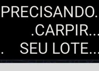 Lotes carpinado 