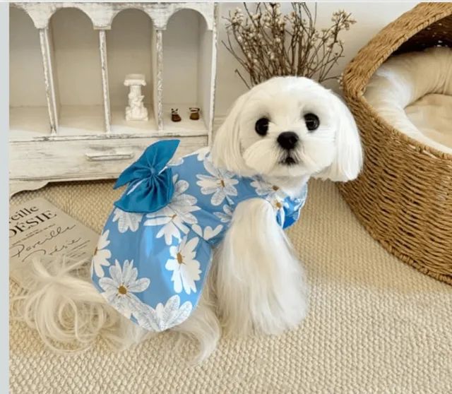 vestidinho cachorro m #novo - Foto 4