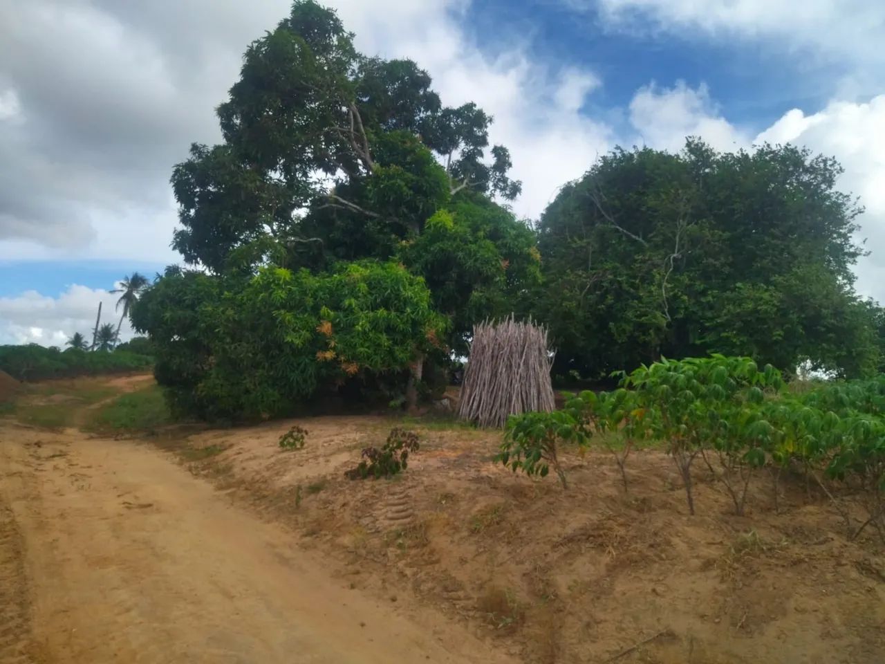 35 tarefas de terra - Malhador/SE - Foto 2