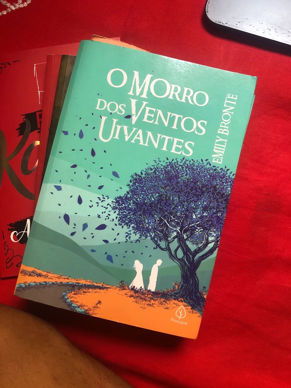 Clássicos Literários  - Foto 4