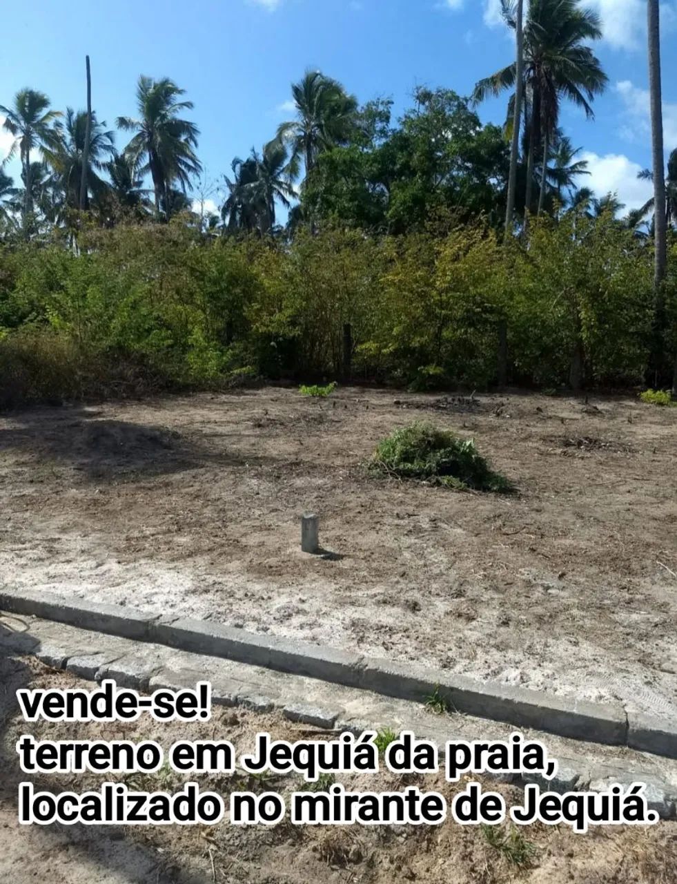 Foto - Maceió - Centro