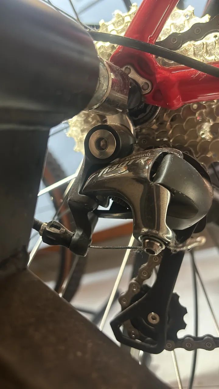 Bicicleta speed oggi stimolla