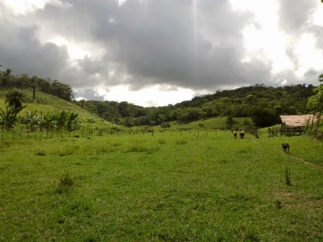 Foto - Tamandaré - 