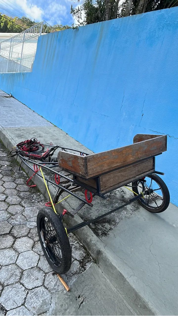 Charrete é curriama - Foto 2