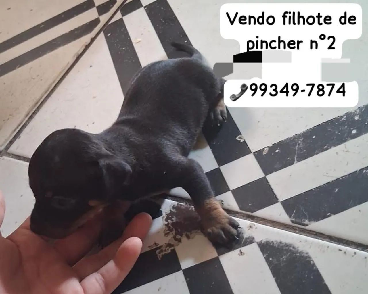 Vemde