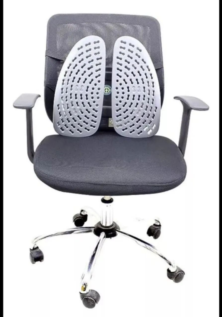 Bio Coluna Ortho Pauher  - Foto 2