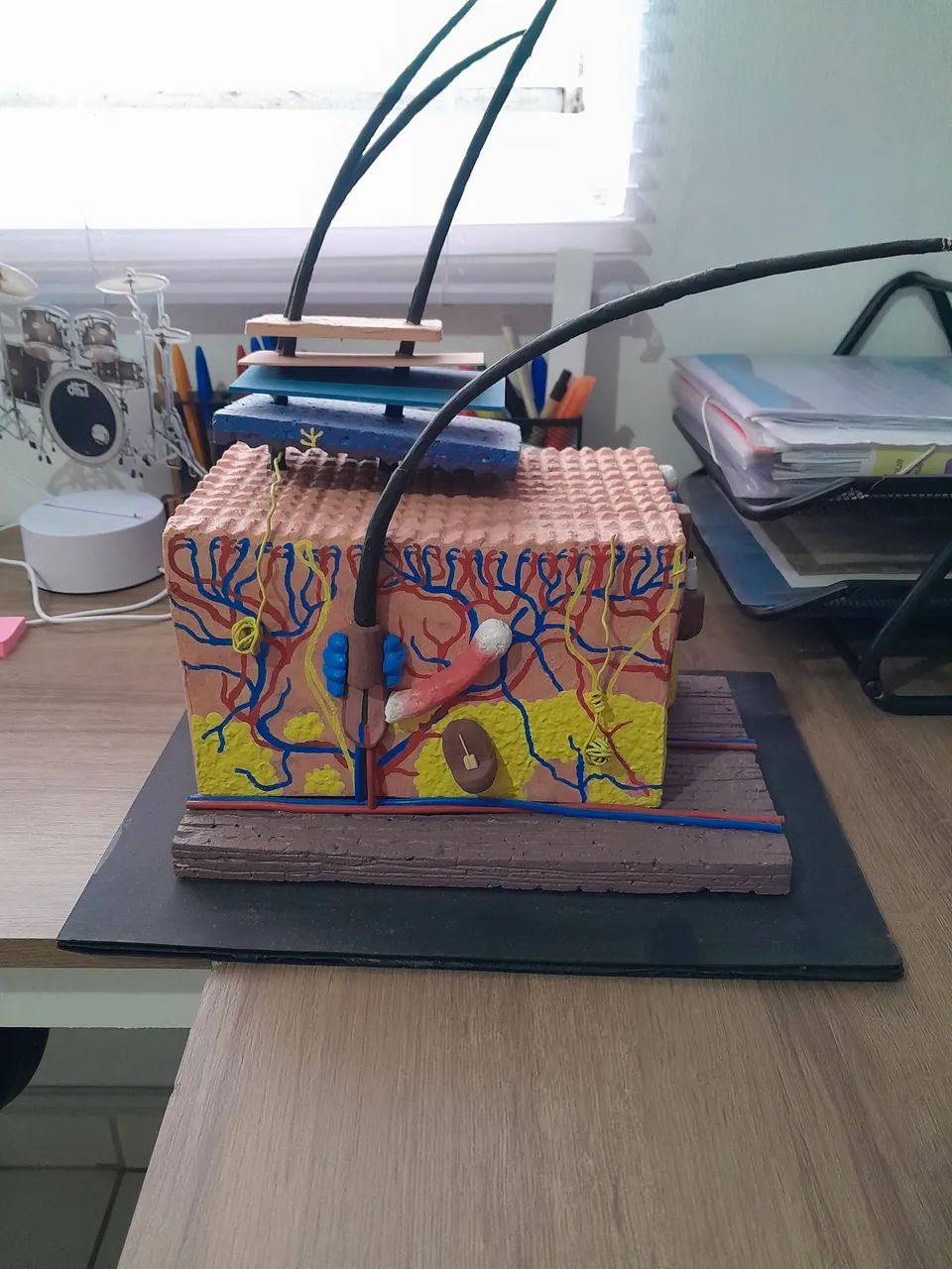 MAQUETE CAMADAS DA PELE 