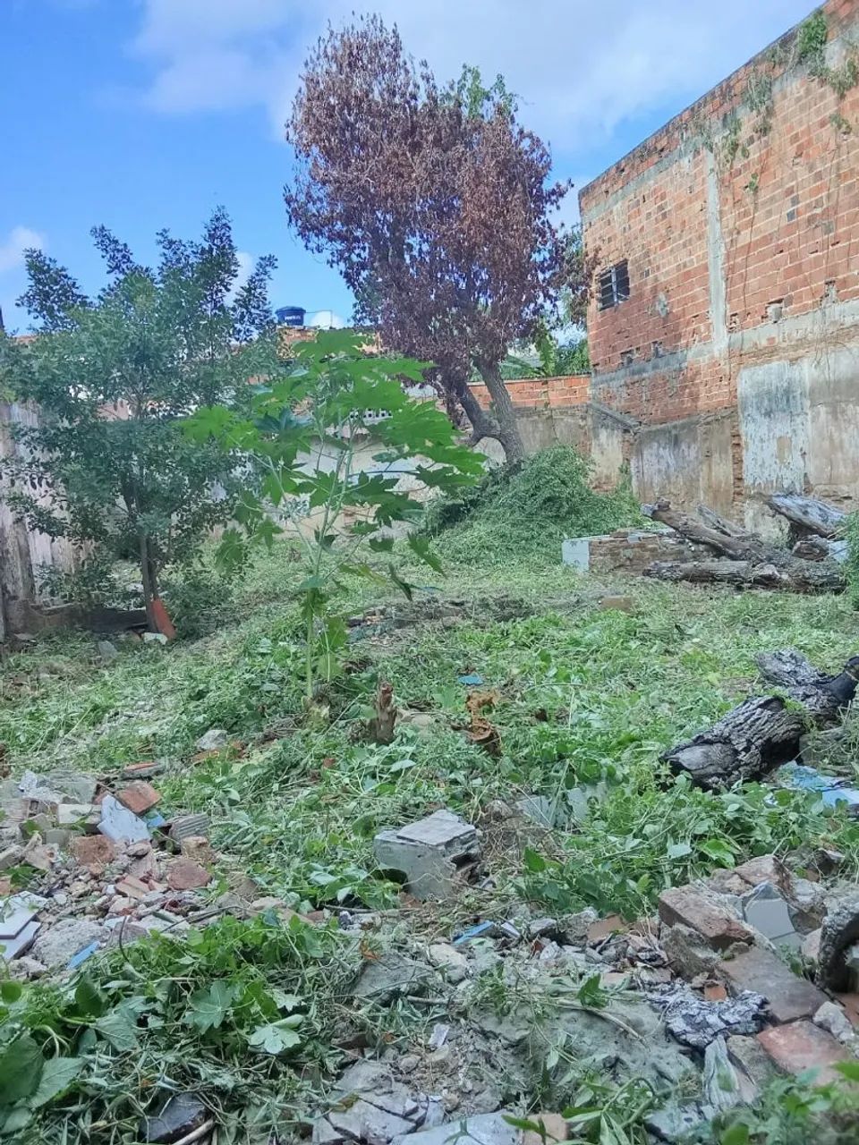 Vendo terreno 