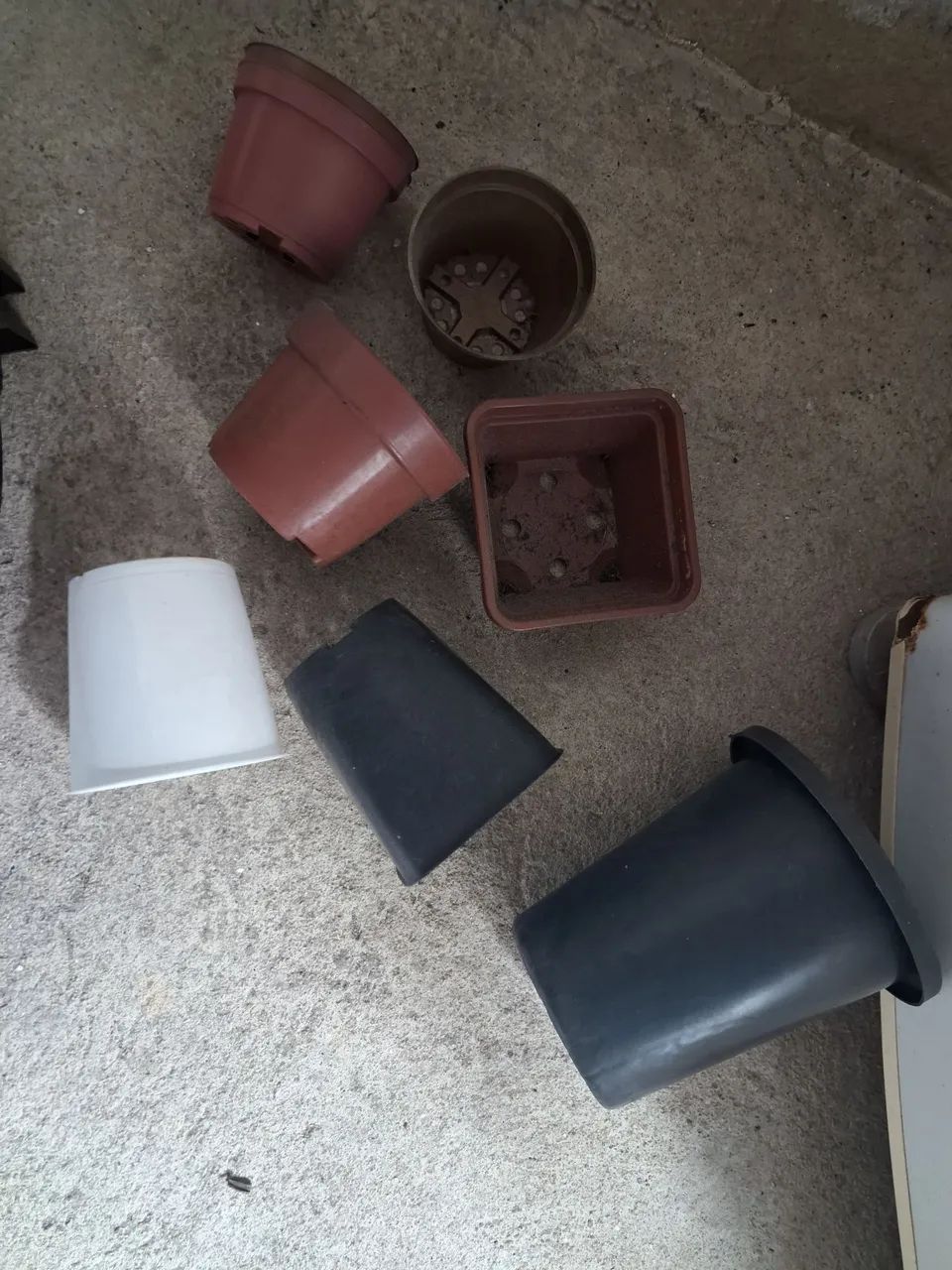Vasos - Foto 4