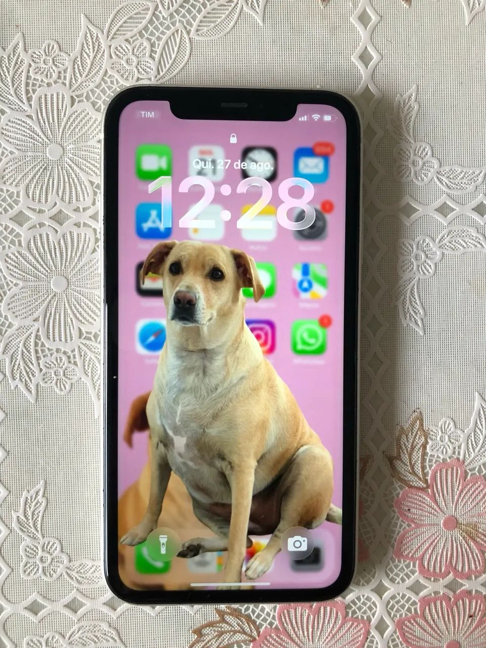 iPhone 11 64GB (super conservado)