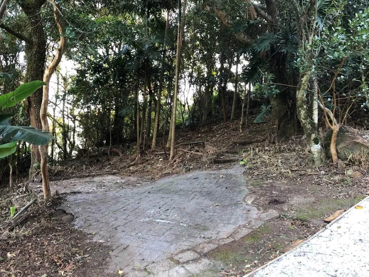 Terreno Ribeirão da Ilha  - Foto 5