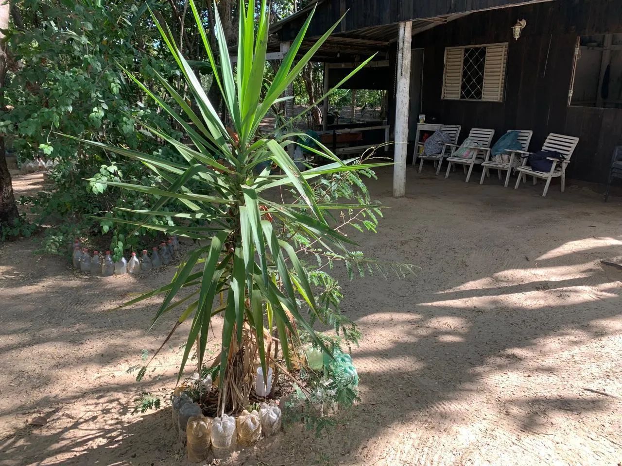 Vendo rancho  - Foto 4