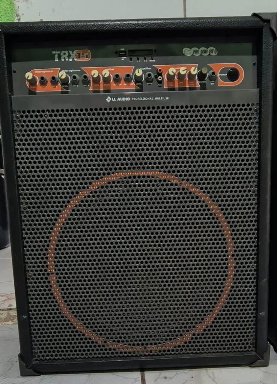 Caixa amplificada profissional 