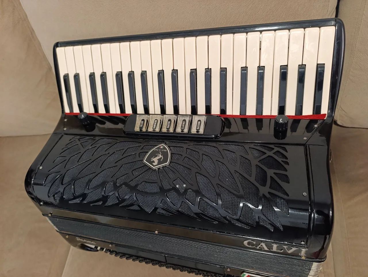 Acordeon, sanfona  - Foto 2
