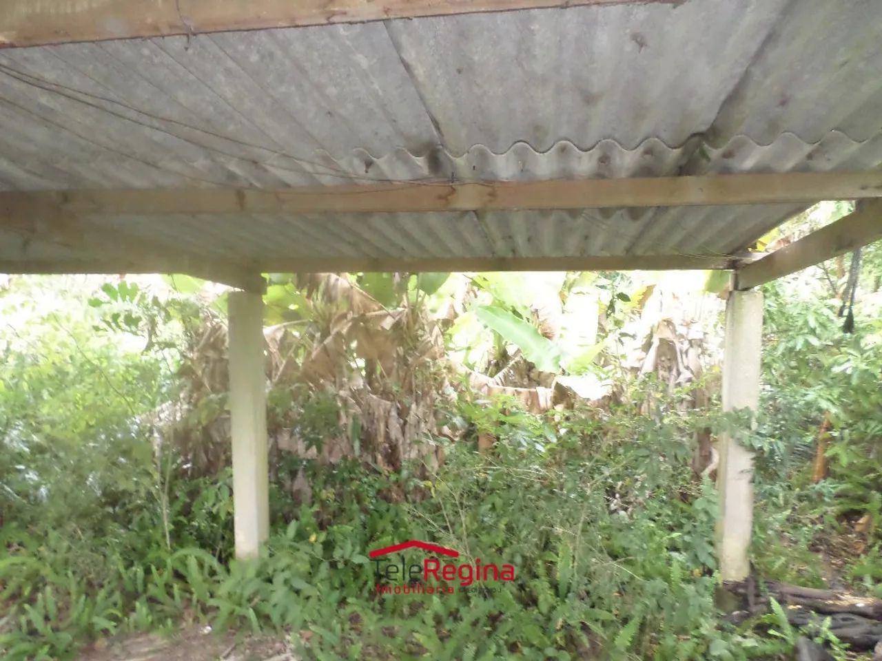 SÍTIO PARA VENDER EM CAÇAPAVA - Foto 4