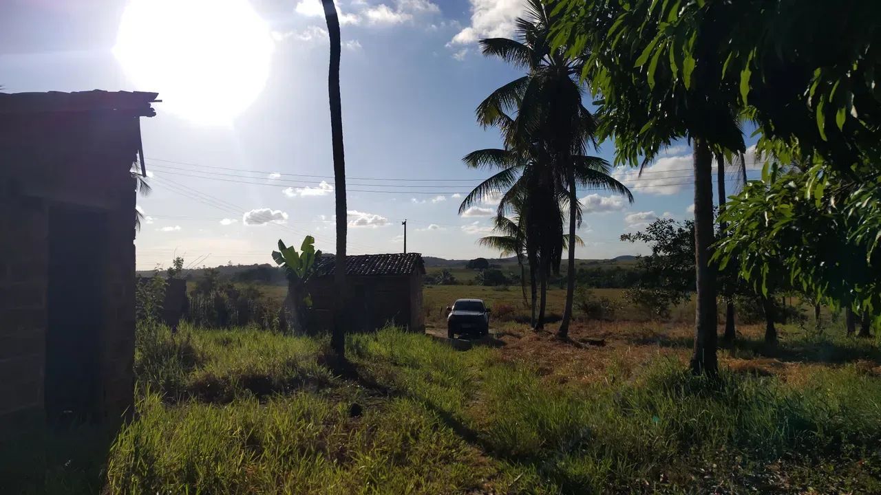 terreno com duas casa pov riachão - Foto 5