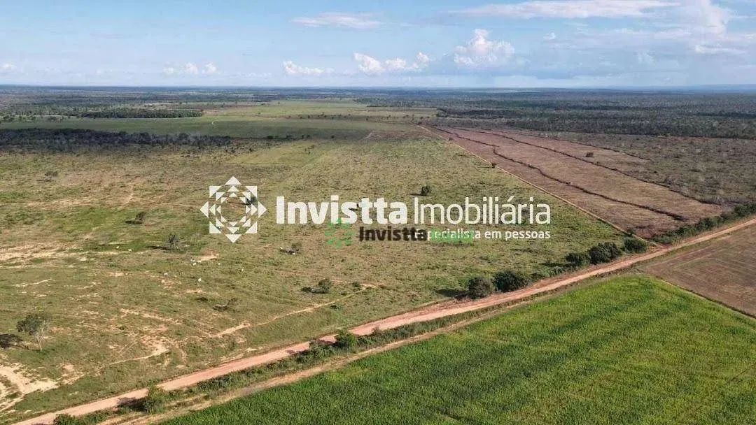 Fazenda de 447 alqueires com dupla aptidão em Palmeirante - Foto 2