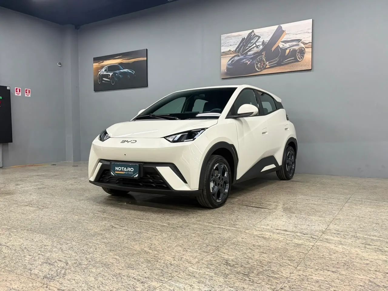 BYD Dolphin Mini (Elétrico) 2027 - Foto 4