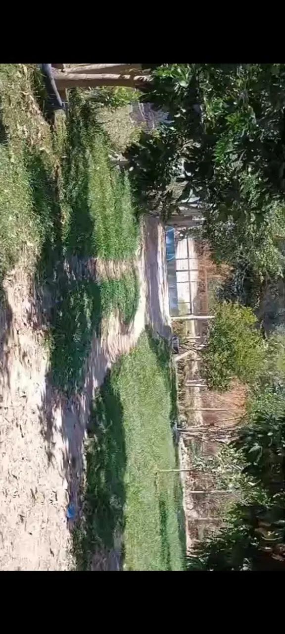 Chácara de Ótima oportunidade - Foto 4
